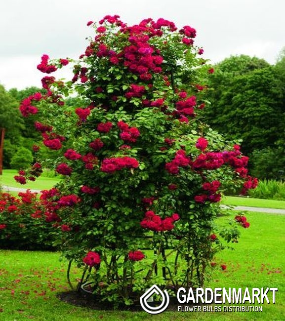 blumenständer holz obi Deko Blumenständer main image 0