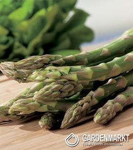 Asparagus Boonlim - Spargel 1 St.