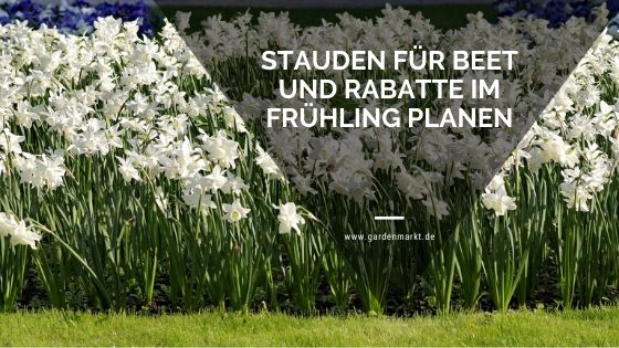 Stauden-fur-Beet-und-Rabatte-im-Fruhling-planen