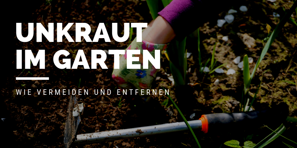 Unkraut im Garten wie vermeiden und entfernen Gardenmarkt.de