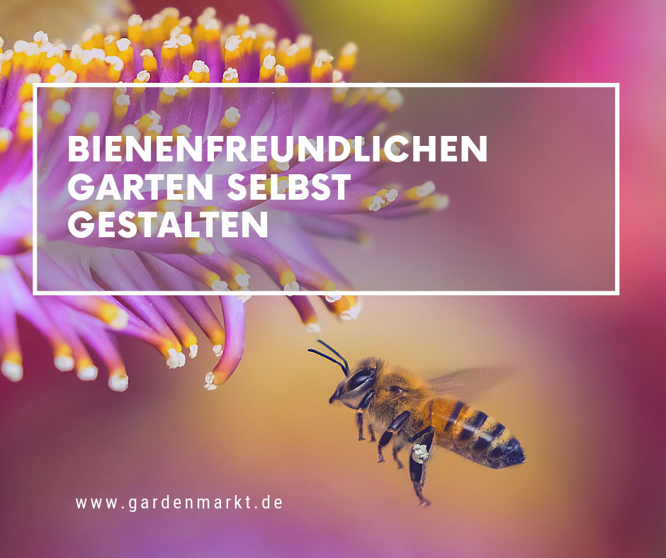 bienenfreundlichen-garten-selbst-gestalten