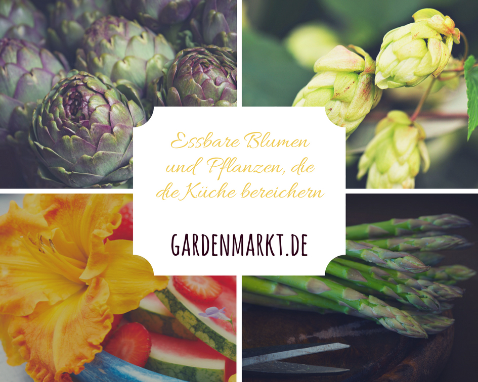 Essbare Blumen und Pflanzen, die die Küche bereichern