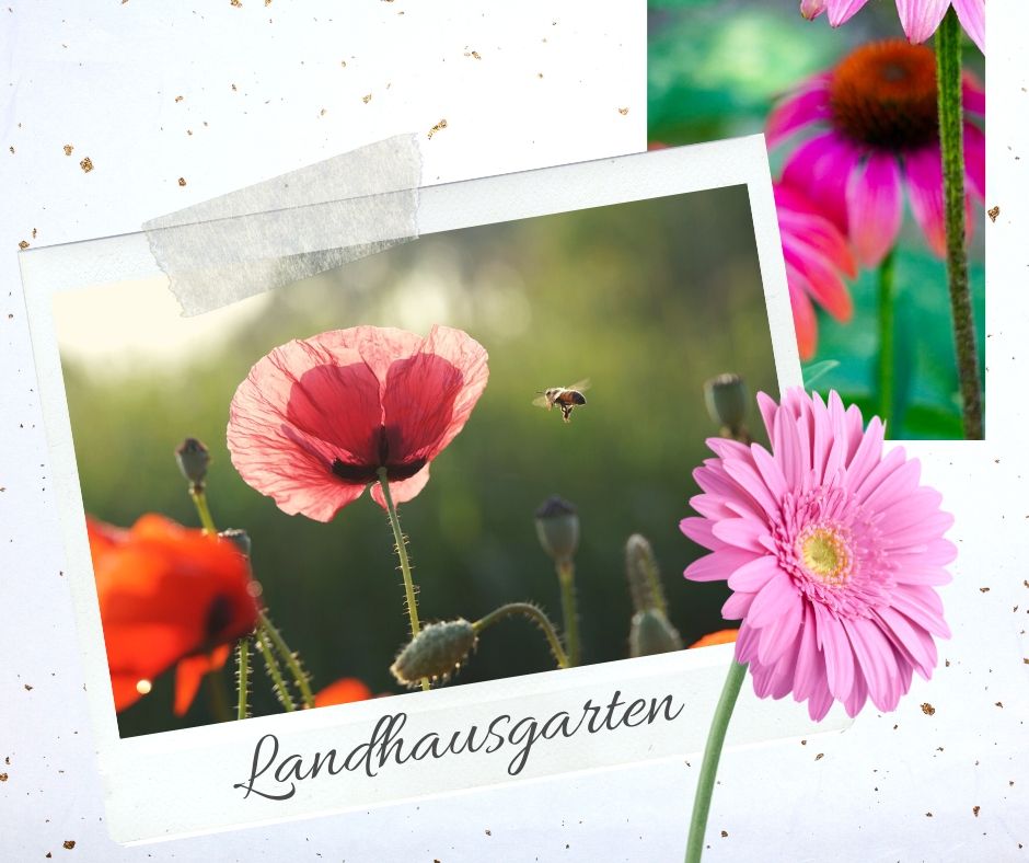 landhausgarten-tipps