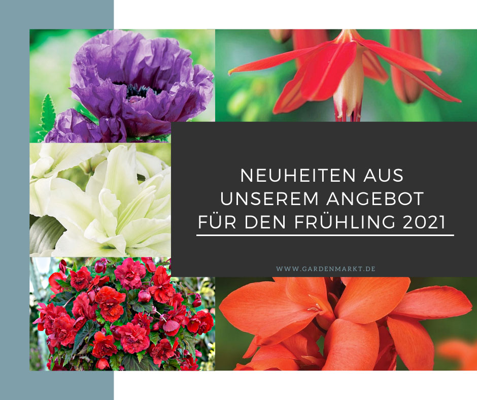 neuheiten-aus-unserem-angebot-fruehling-2021