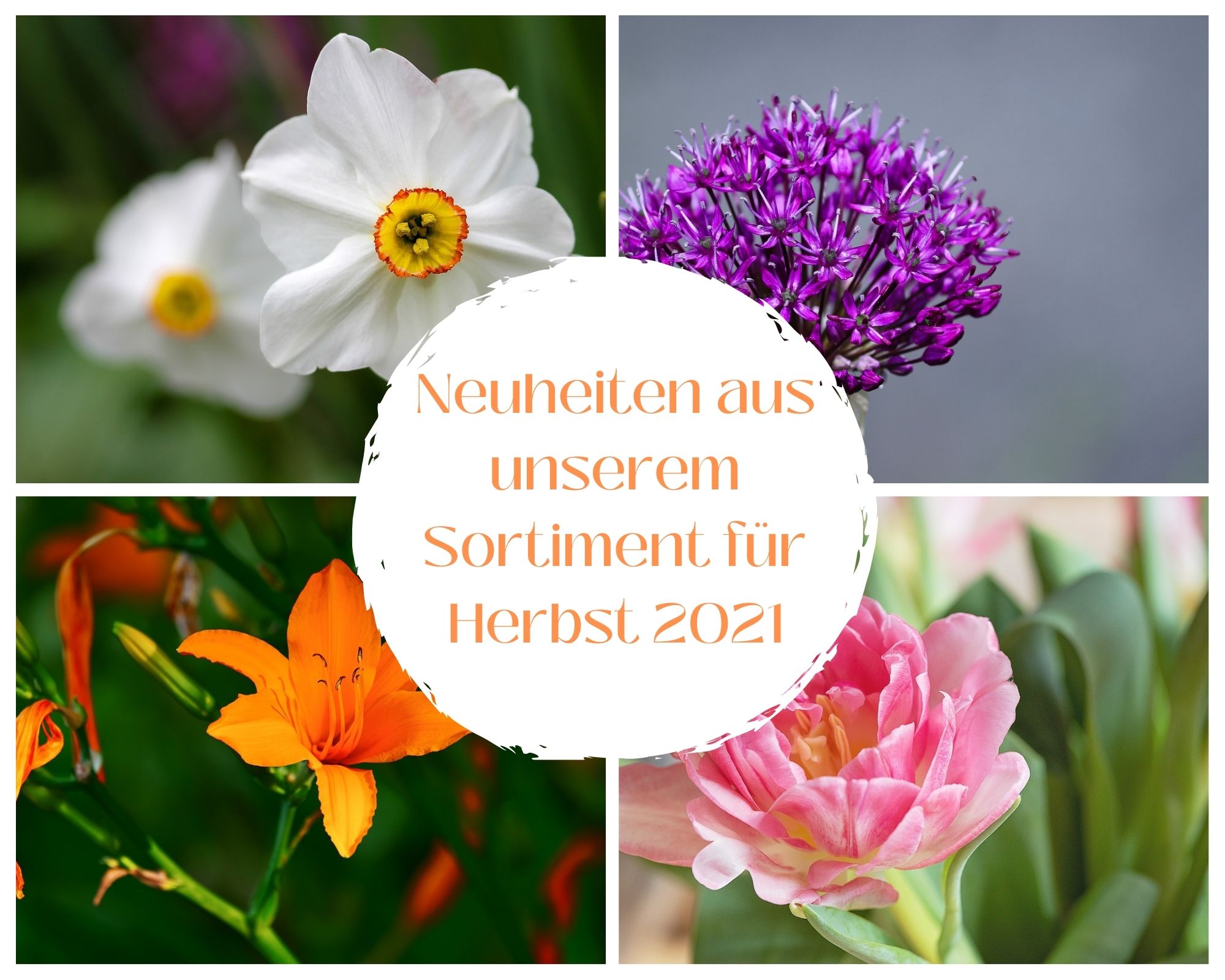 neuheiten-aus-unserem-sortiment-fuer-herbst-2021