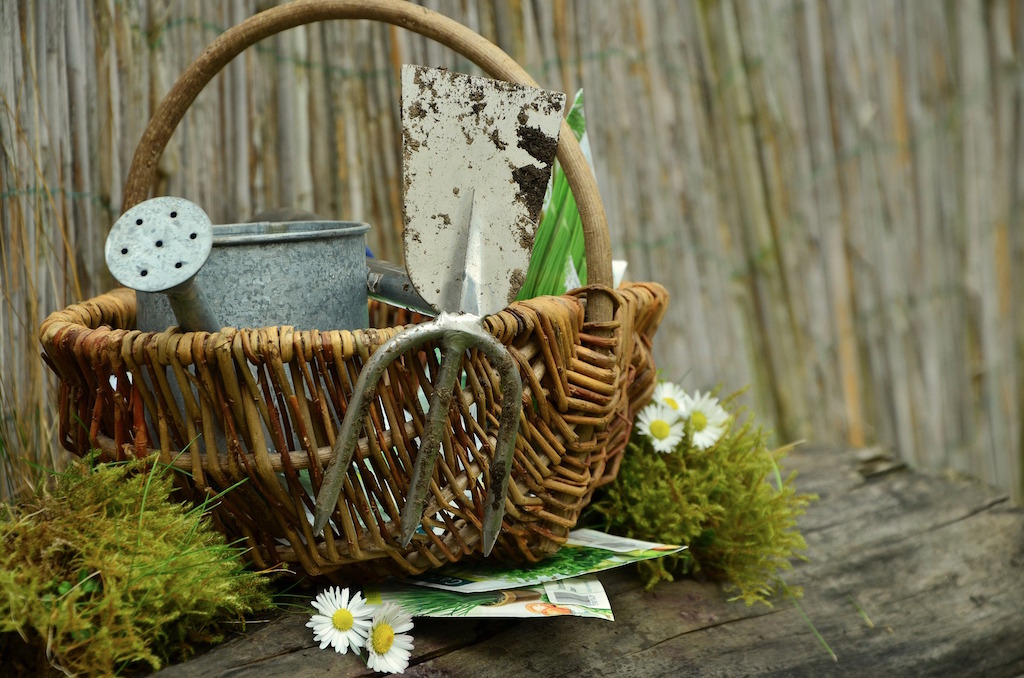 so-bereiten-sie-ihre-gartenblumen-optimal-auf-den-winter-vor