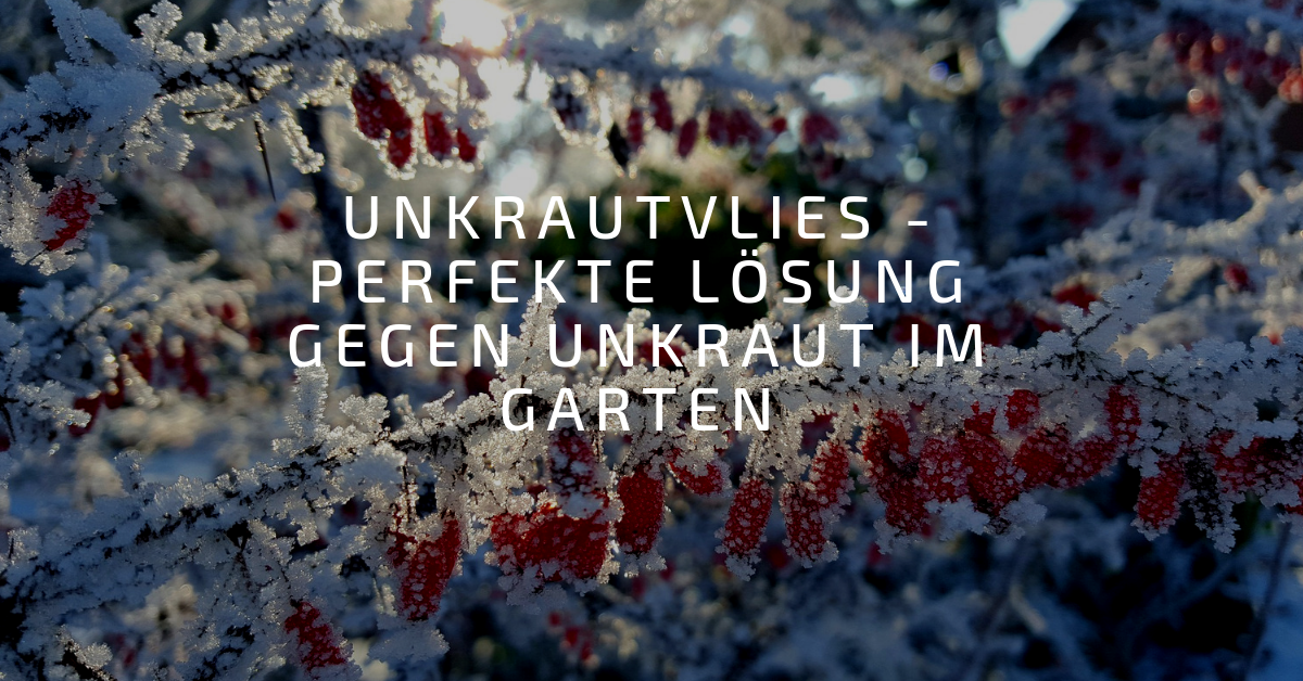 unkrautvlies-perfekte-loesung-gegen-unkraut-im-garten